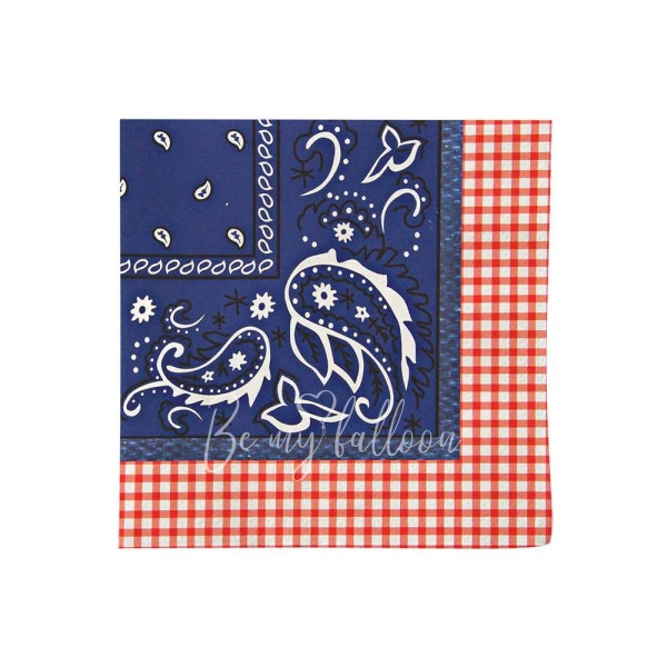 Howdy Cowboy Napkin (small)