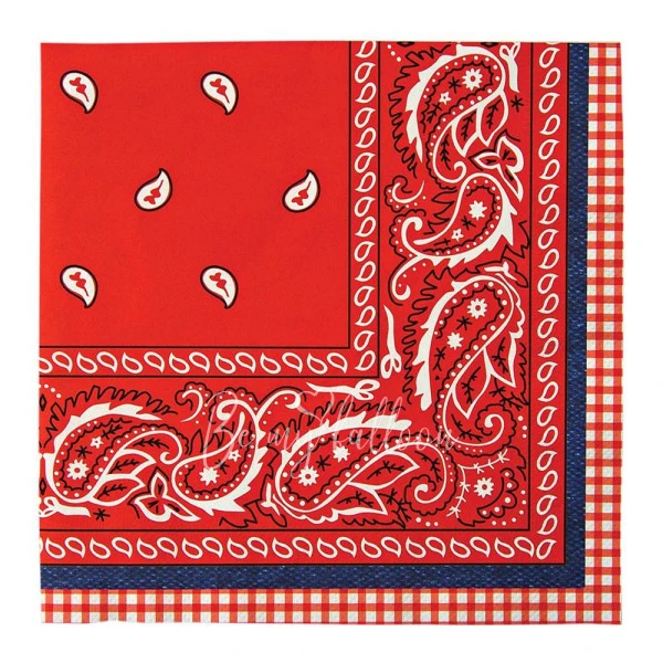 Howdy Cowboy Napkins (large)