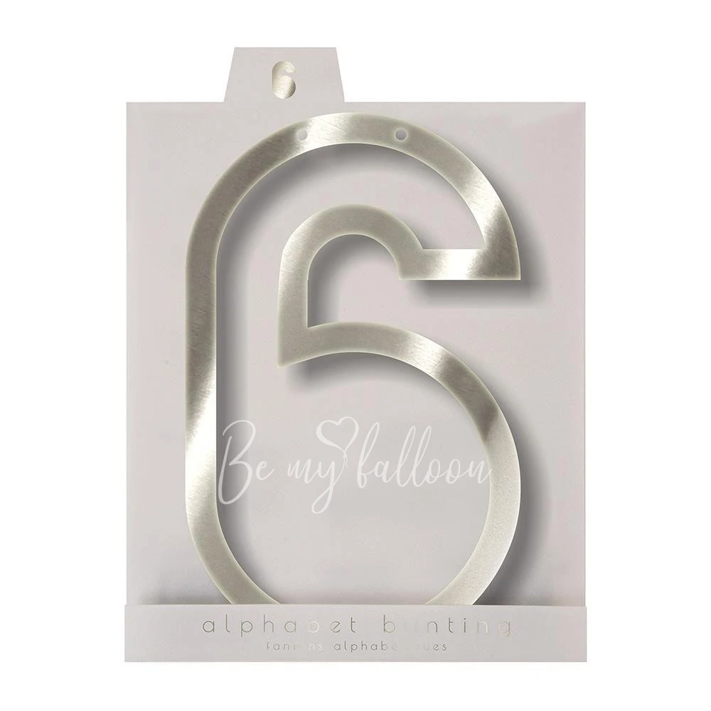 Silver 6 Acrylic Bunting