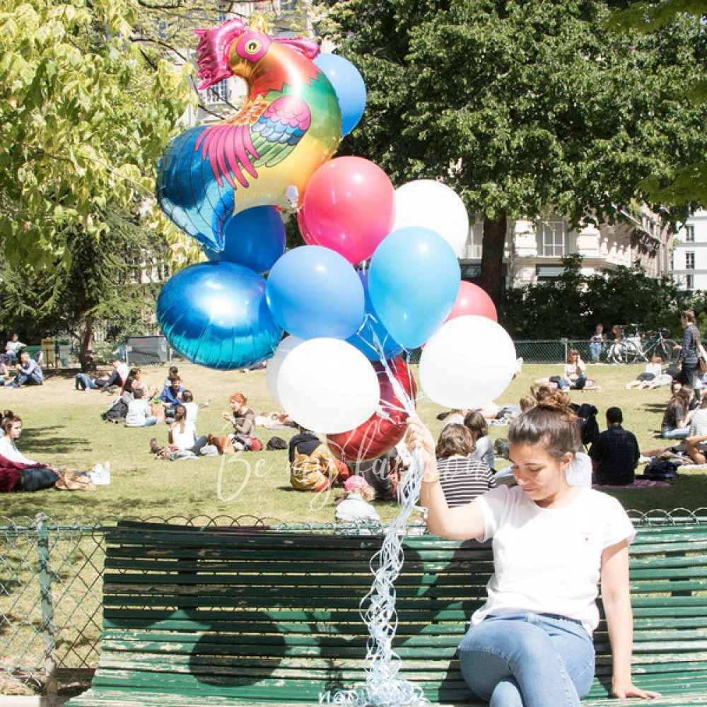 Foil balloon - Rooster