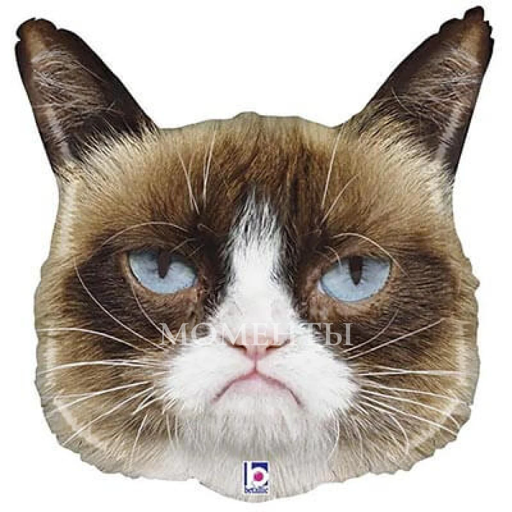 -20 % Шар из фольги "Grumpy Cat Сердитая Кошка" 60 см