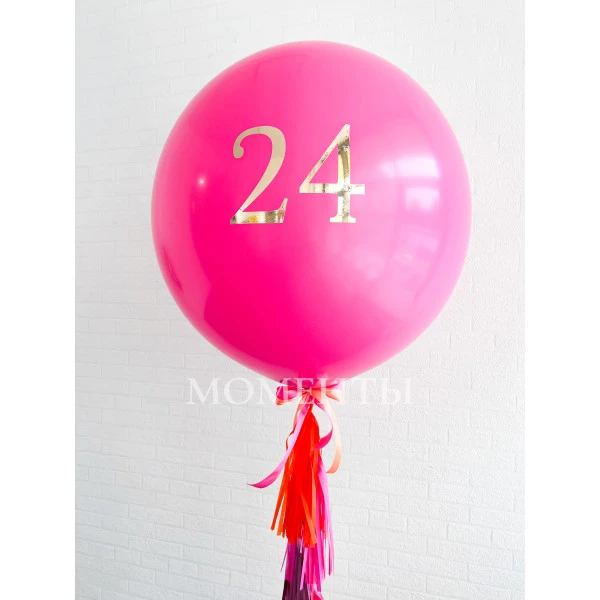 Шар-гигант "Мои 24 года!"