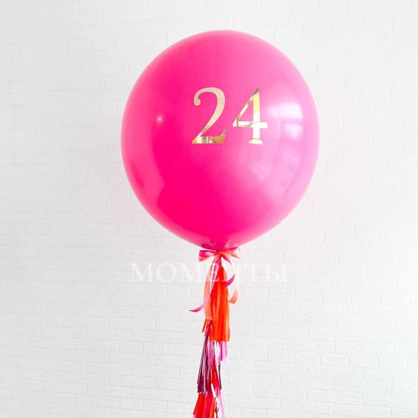 Шар-гигант "Мои 24 года!"
